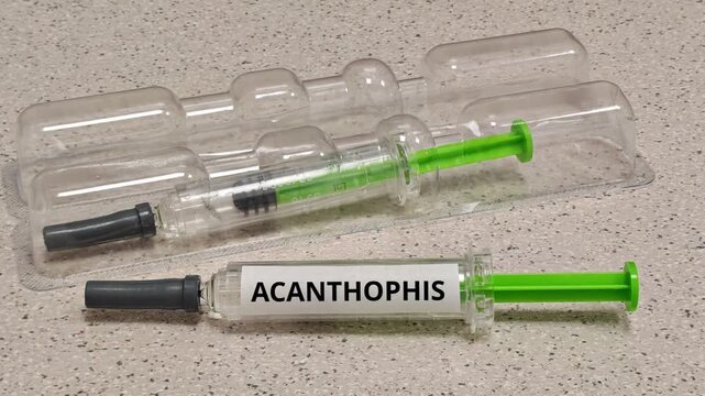 ACANTHOPHIS the death adder genus associated with medically important snakebite envenomation and species-appropriate antivenom treatment