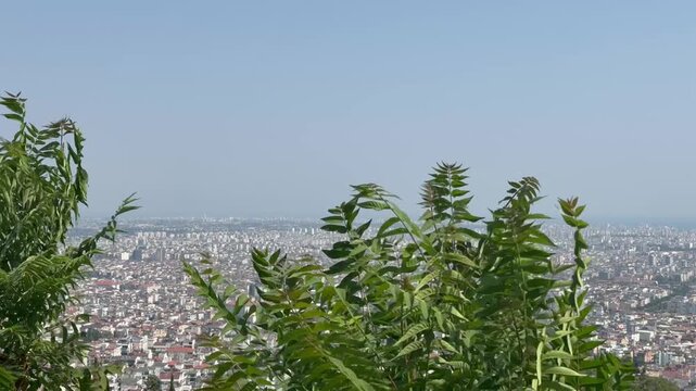 Green leaves sway gently in the wind in the foreground, framing a vast panoramic view of the Antalya cityscape stretching to the hazy horizon. The dense urban sprawl fills the valley below under a sky