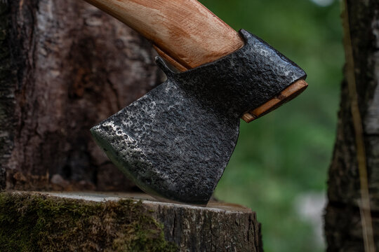 Traditional forged carpentry axe hand tool with birch wood handle in forest view.
