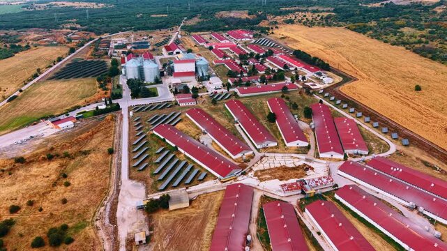 Aerial view of agricultural farm complex with solar panels. Rows of red roofed structures stand alongside grain silos and solar arrays near golden fields.