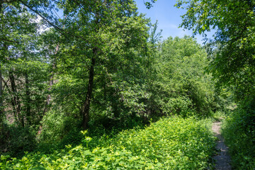 Fototapeta premium Landscape around Pancharevo lake, Bulgaria