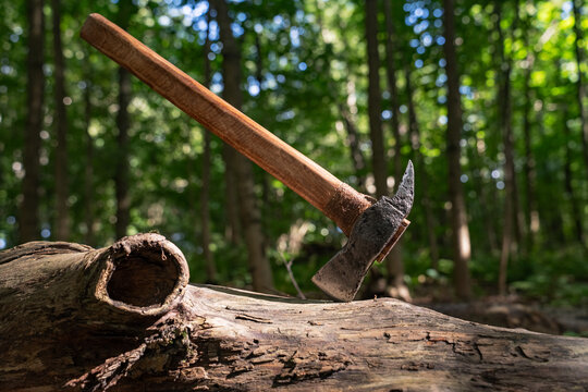 Handmade forged steel axe on ancient wooden log in forest close up.
