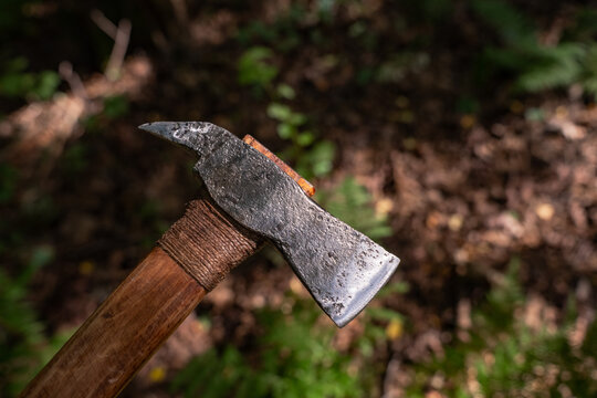 Handmade forged steel axe on ancient wooden log in forest close up.

