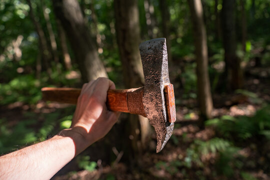 Handmade forged steel axe on ancient wooden log in forest close up.
