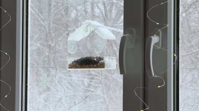 Small titmouse bird comes to a transparent window feeder and eats sunflower seeds Snowy trees behind the glass and warm fairy light reflections inside the room Concept of mindful observation and calm