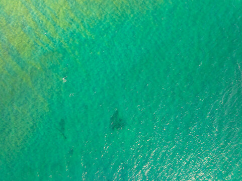 Bird eye view photo of sea beach water surface texture background