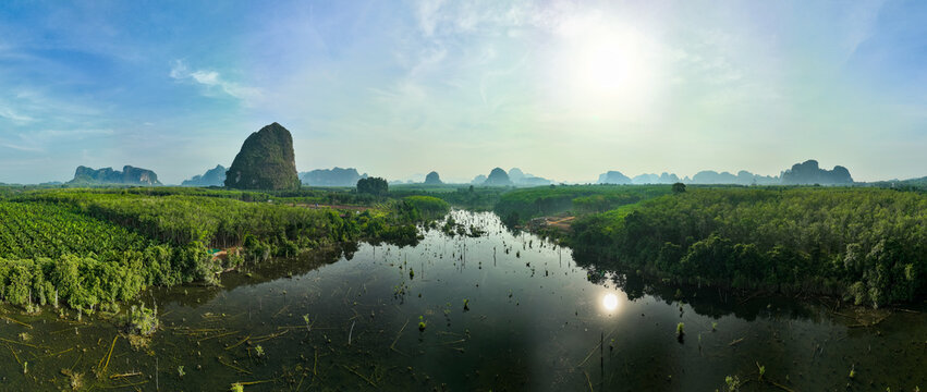 Tropical trees in swamp forest and crystal clear water stream canal at Klong root mangrove wetland in Krabi Thailand Beautiful panorama nature view