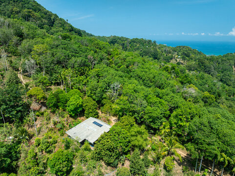 Aerial view Drone camera top view rainforest trees ecology with house in the forest trees background,Green environment background