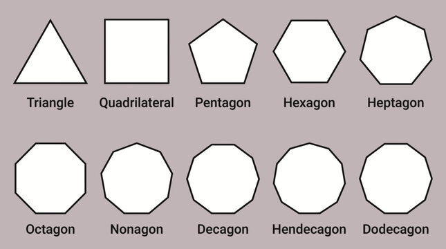Geometric Polygons Reference Set Featuring Labeled Shapes from Triangle to Dodecagon