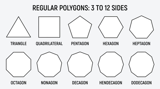 Educational Regular Polygon Chart Showing Three to Twelve Sided Geometric Shapes with Labels