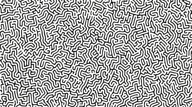 Abstract maze pattern detailed black and white organic background design