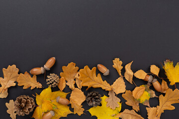 Autumn leaves with pumpkins on color background, top view © Liami