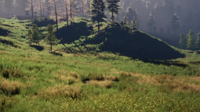 The scene shows green hills and patches of trees during morning time. The sun casts light over the landscape, revealing the natural beauty of the area.