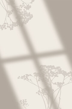 aesthetic window light shadow on the wall for background and plants shadow