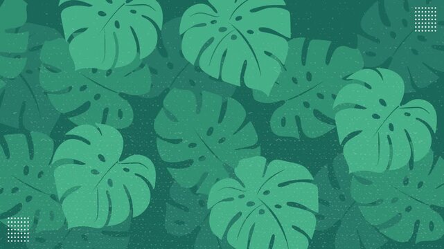 Green Monstera Leaf Tropical Nature Looping Animation Background