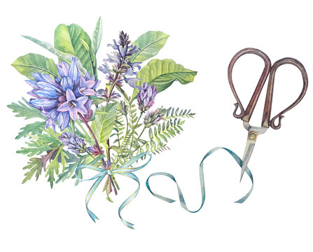 Watercolor set with blue wildflower bellflower lungwort flower and scissors isolated on white background. Hand-drawn spring and summer plant. Clipart with bouquet and bow for wrapping and wallpaper