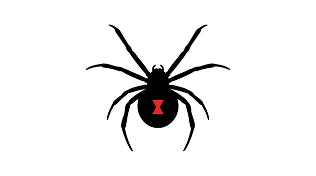 Black Widow Spider Silhouette Icon with Red Hourglass Mark