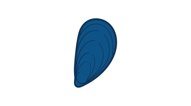 Blue Mussel Shell Vector Illustration Isolated on White Background