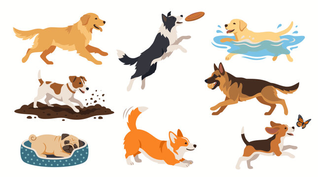 Set of various active cute dogs playing and running flat vector