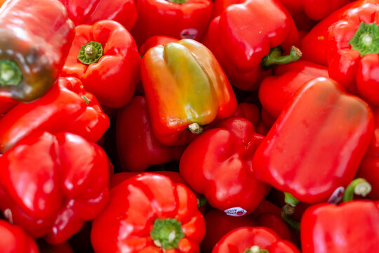Raw red peppers with stalks in a bin at a farmer's market. The sun is shining on the thick, rich, bright red skin. There are some green and yellow unripe vegetables among the bunch on the table.