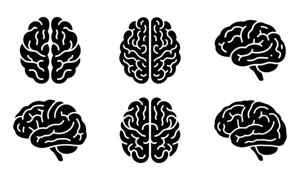 Brain set vector, human brain icon collection, frontal and lateral view symbols, black and white skull and thought symbols, neurology medical illustration