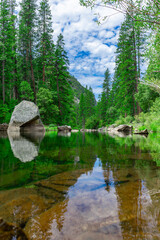 Fototapeta premium Crystal clear river reflecting pine trees and granite boulder in Yosemite National Park, California, USA