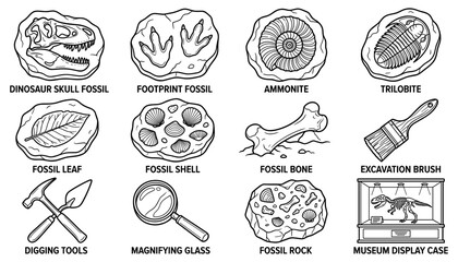Paleontology Fossils and Archeology Excavation Tools Set Dinosaur Skull Ammonite Trilobite Line Art Vector © MD