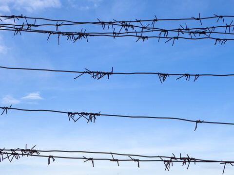 Barbed wire on fence with blue sky on background. Security concept