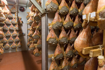 Storage of prosciutto in a ham factory in Bologna, Italy © Maria