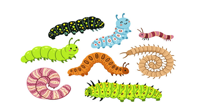 Cute cartoon caterpillars and insects vector collection, featuring colorful creepy crawlies, millipede, worms, isolated on white background.