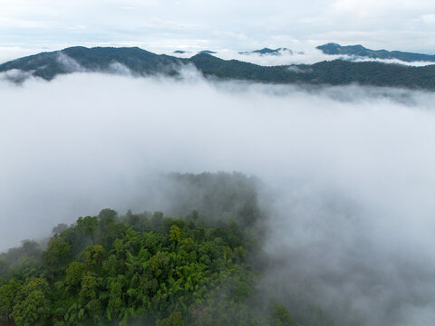 Mountain forest mist cloud landscape aerial view mountain forest landscape surrounded by mist and cloud, creating tranquil natural scene with layered ridge and dense tree canopy beneath overcast