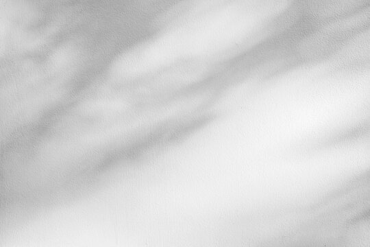 Minimal white wall texture with soft tree leaf shadows in natural sunlight. Clean abstract background with copy space for branding, design, presentations and mockups.