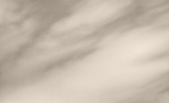 Minimal beige wall texture with soft leaf shadows and copy space. Elegant neutral background for branding, skincare, product display, packaging and modern design.
