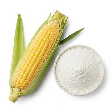 A top-down, flat-lay view of a white ceramic bowl filled with fine corn starch, beautifully arranged alongside a partially shucked ear of sweet corn, isolated against white background
