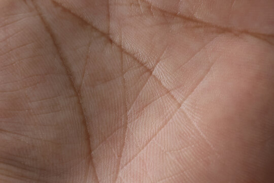 Human palm closeup, skin texture and natural hand lines create abstract organic background with warm brown tones and detailed macro pattern