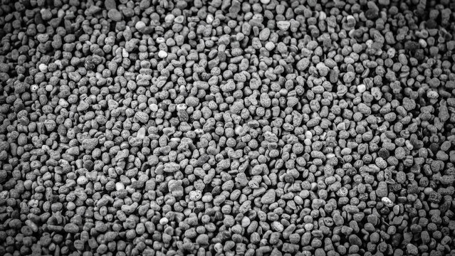 Numerous small grey pebbles scattered closely together forming a textured monochrome background surface for graphic projects