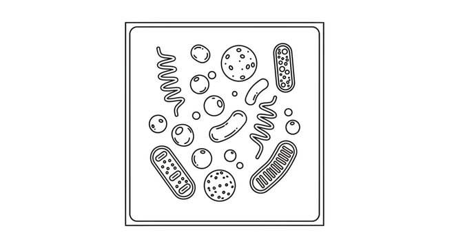 bacteria cells illustration