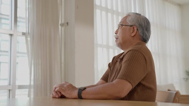 Elderly man senior man mature man sitting man profile with gray hair and eyeglass, casual clothing, brown shirt and wristwatch, seated by bright window quiet home interior, reflective retirement