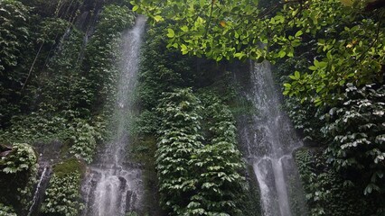 Majestic Lush Green Tropical Jungle Waterfall Cascading Down Mossy Rock Faces in a Serene Rainforest Sanctuary © Muna
