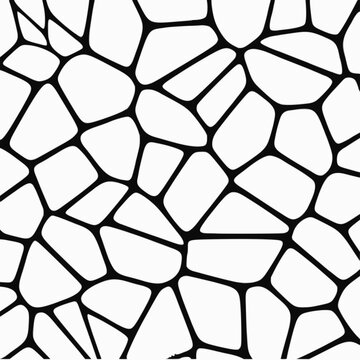 Abstract geometric cellular voronoi pattern in black and white with geometric cellular abstract background