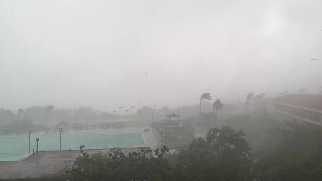 Extreme Hurricane Winds and Blinding Rain Batter Tropical Coast - Koinu