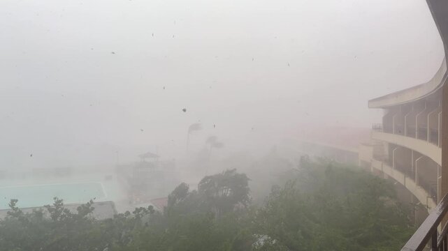 Intense Hurricane Eyewall Winds Sweep Through Tropical Resort - Koinu