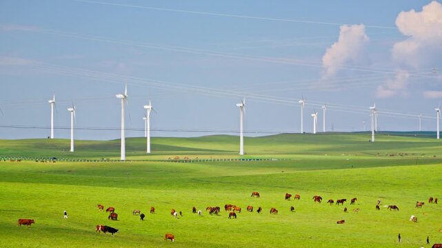 Grassland wind farm and a herd of horses