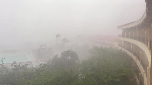 Hurricane Eyewall Lashes Buildings and Palm Trees With Wind and Rain - Koinu