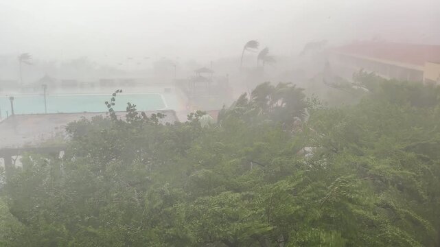 Ferocious Hurricane Winds and Torrential Rain Sweep Across Tropical Landscape - Koinu