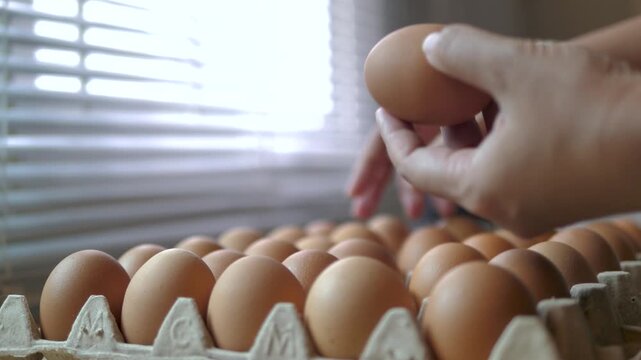 Close-up video of a hand selecting a brown chicken egg from a carton filled with fresh eggs, Egg handling and inspection 