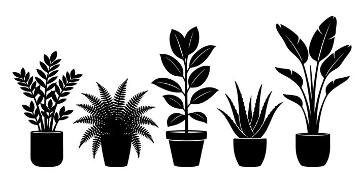 Silhouette collection of five potted indoor plants against a clean white background