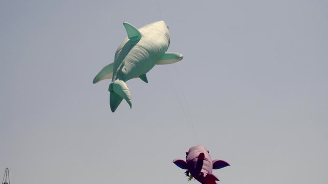 Colorful whale and bird shaped kites soaring against a clear blue sky during an outdoor festival in Cholula, Puebla, Mexico, celebrating creativity and cultural traditions.