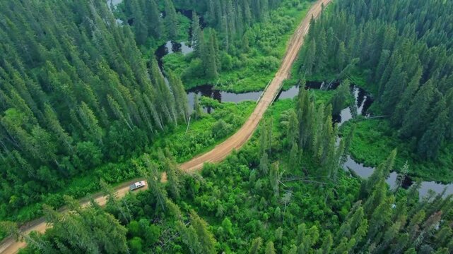 White Pickup Truck Driving on Unpaved Forest Road in Canada