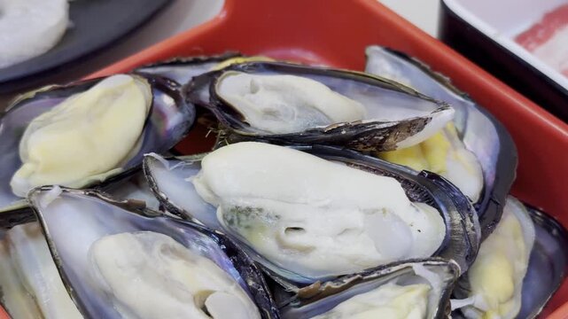 Close-up of fresh mussels arranged on a serving tray, prepared for shabu shabu and hot pot with premium seafood presentation.